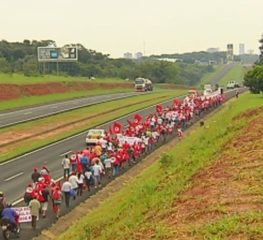 DEPUTADO RURALISTA ACUSA MST DE MOVIMENTO TERRORISTA