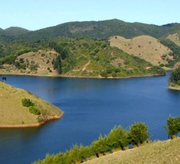 Luiz Turco cria PL que garante a propriedade das terras devolutas do Jurupará