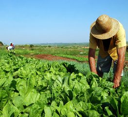 PSDB vai contra participação de deputados no conselho do Itesp
