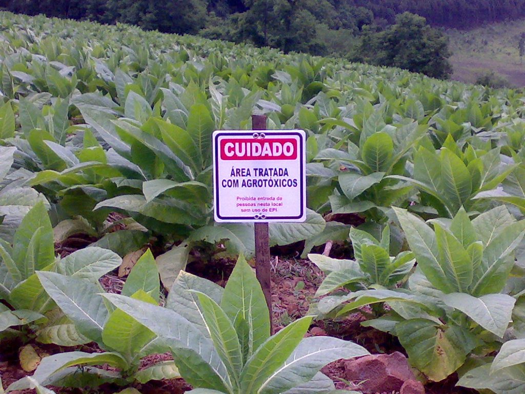 São Paulo consome 110 mil toneladas de agrotóxicos por ano