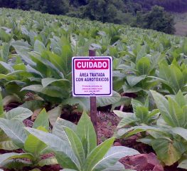 São Paulo consome 110 mil toneladas de agrotóxicos por ano