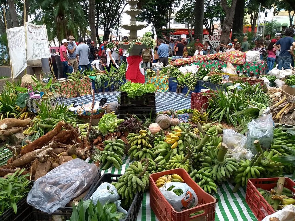 Solidariedade ao acampamento Quilombo Campo Grande