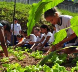 Lugares fixos para produtos da economia solidária e agricultura familiar e outros projetos aprovados pelo PT na CCJ