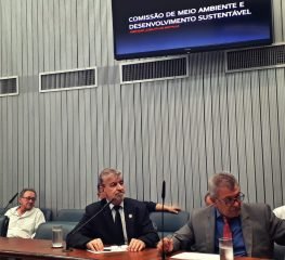 Crítica à fusão da Agricultura e Meio Ambiente