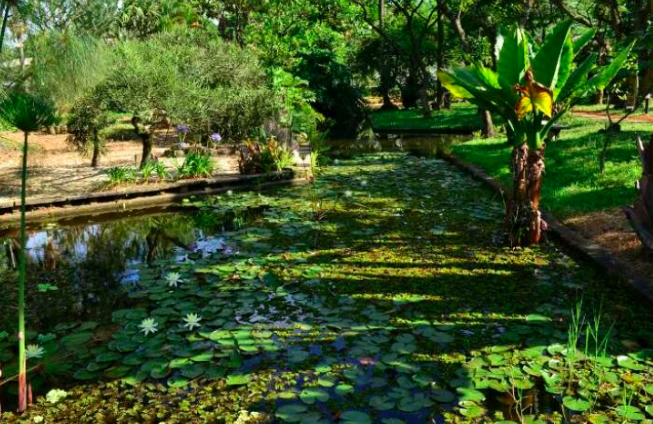 A DEPUTADA BETH SAHÃO E O ABRAÇO AO INSTITUTO DE BOTÂNICA 
