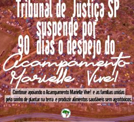 Tribunal de Justiça suspende despejo do Acampamento Marielle Vive!