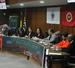 DIGA NÃO AO PL 529/2020