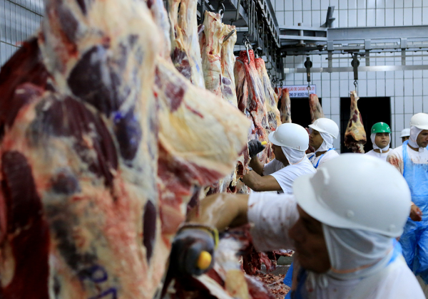 Trabalho em frigoríficos e alterações na NR 36: harmonização ou retrocesso social?