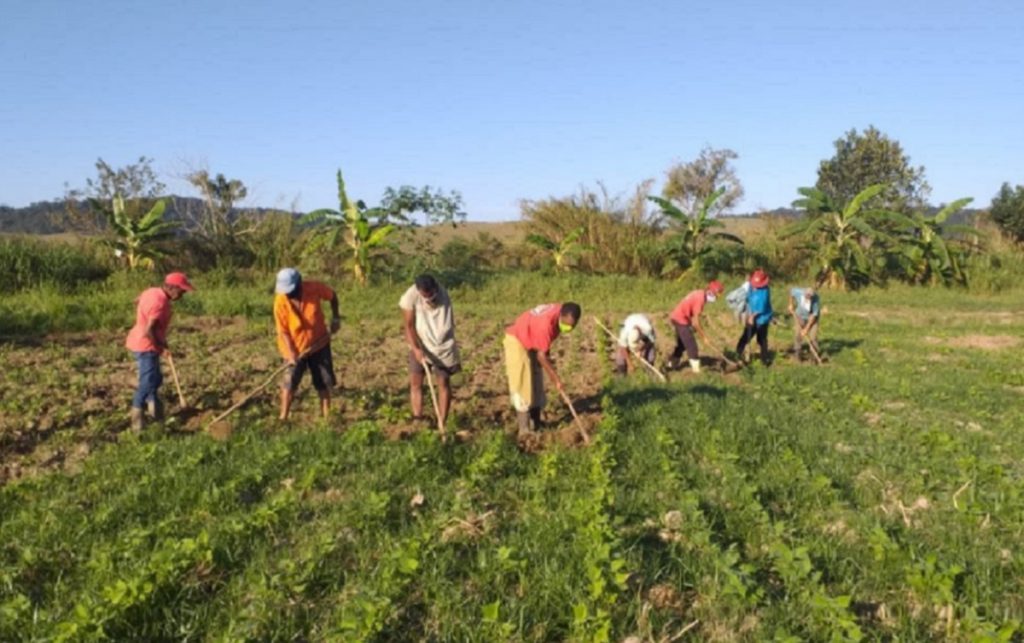 PT quer comissão paritária para discutir PL sobre assentamentos rurais