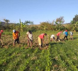 PT quer comissão paritária para discutir PL sobre assentamentos rurais