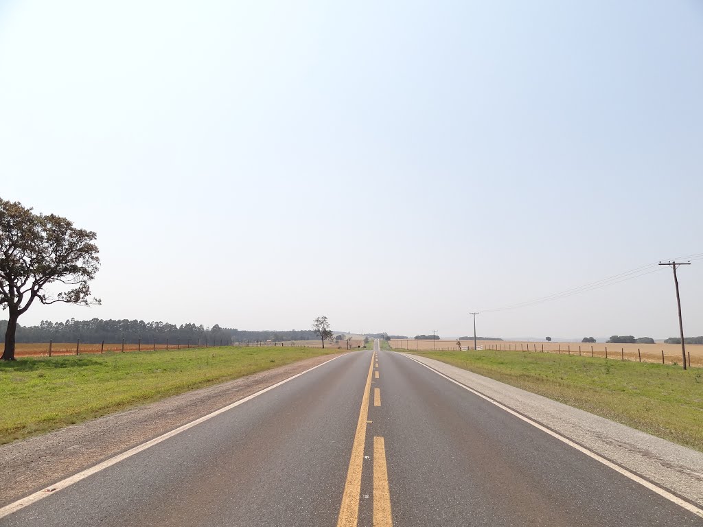 Melhorias, extensão das rodovias e investimentos na saúde são os pleitos da região de Itapeva Melhorias, extensão das rodovias e investimentos na saúde são os pleitos da região de Itapeva