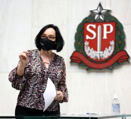 Concessão de parques urbanos: população quer prorrogação de prazo de consulta pública