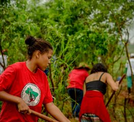 Votação do “PL da Grilagem”, de Joao Doria, é adiada
