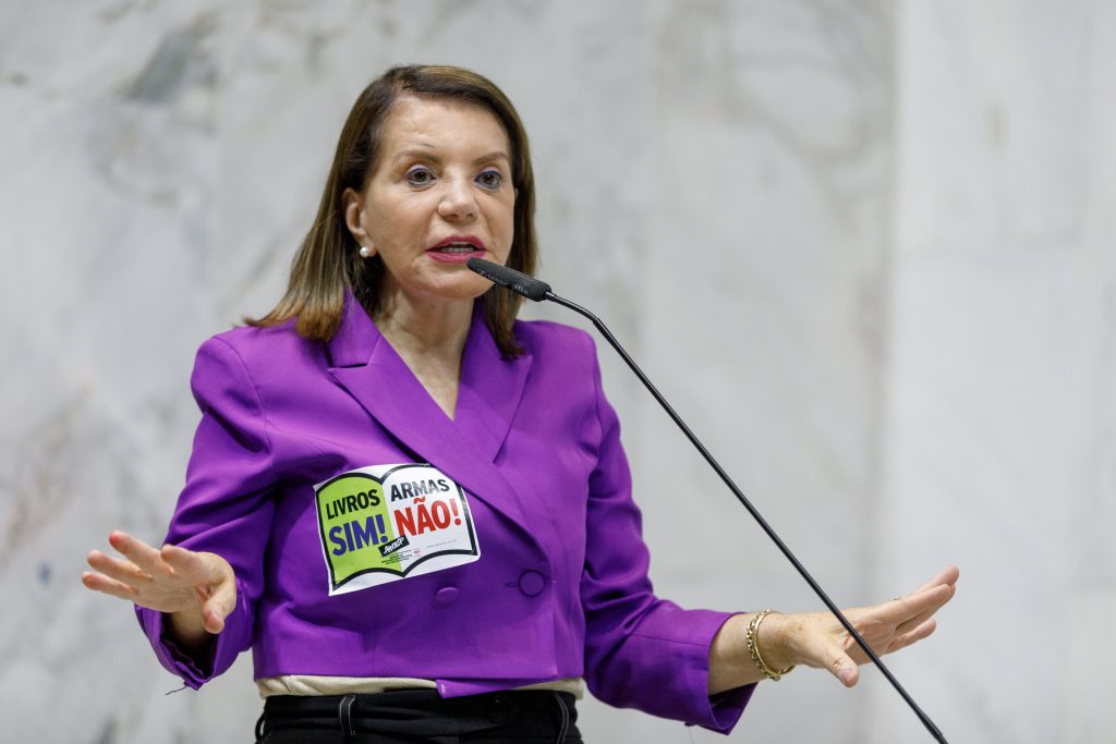 BEBEL APRESENTA ESTUDO SOBRE VIOLÊNCIA NAS ESCOLAS