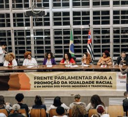 PT integra frente para a igualdade racial e em defesa de povos indígenas