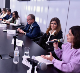 Bancada reúne-se com ministra Nísia Trindade, da Saúde