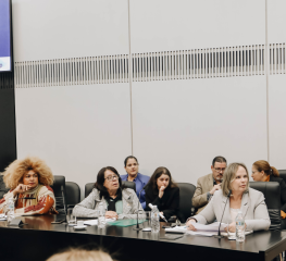 Deputada cobra prestação de contas da Secretaria de Políticas da Mulher