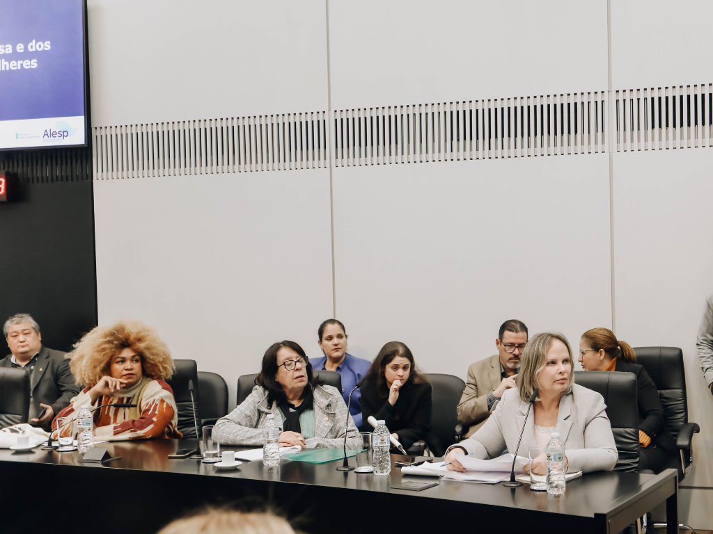 Deputada cobra prestação de contas da Secretaria de Políticas da Mulher