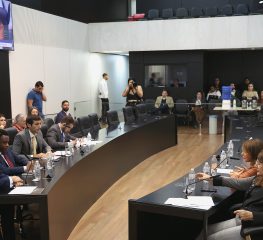 Petistas questionam pauta em CPI que investiga trabalho do HC com jovens trans