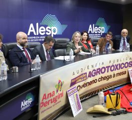 Audiência pública discute impactos da pulverização aérea de agrotóxicos