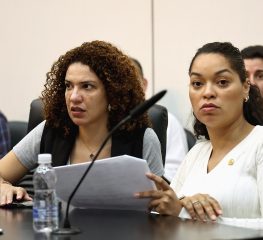 COMISSÃO APROVA PROGRAMA DE INCENTIVO À ECONOMIA SOLIDÁRIA VOLTADO PARA MULHERES