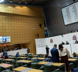 Alesp vota hoje PL do governador que liquida terras públicas