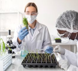 Base do governo Tarcísio não atende apelo por defesa da ciência e inovação