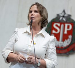 A escola entre jabutis e jabuticabas