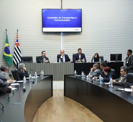 PETISTAS QUESTIONAM INDICADO PARA A DIRETORIA DE CONTROLE ECONÔMICO DA ARTESP