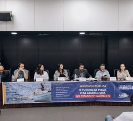 Audiência pública debate o futuro da pesca em SP