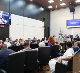 Parlamentares e movimento Nova Raposo Não! questionam secretário