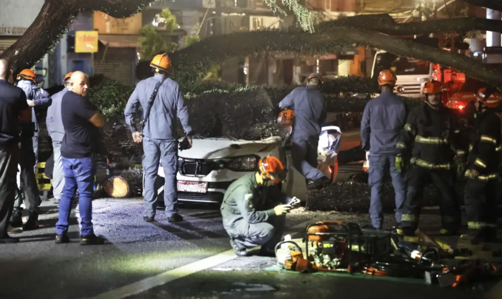 Morte, queda de árvores e alagamentos: temporal deixa novo rastro de destruição em São Paulo