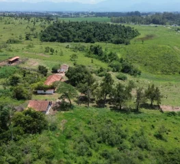 Tarcísio vende fazenda de pesquisa à empresa de Skaf pela metade do valor de mercado