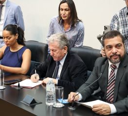Comissões permanentes da Alesp elegem presidente e vice