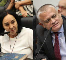 PT é vice nas comissões de Direitos das Mulheres e de Habitação