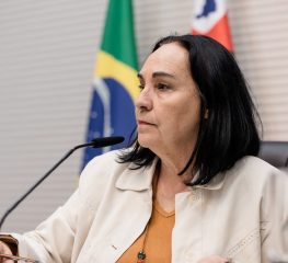 Na Comissão de Direitos Humanos, petistas defendem vulneráveis e soberania nacional