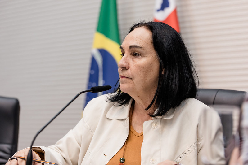 Na Comissão de Defesa dos Direitos Humanos Petistas defendem direitos dos vulneráveis e a Soberania Nacional