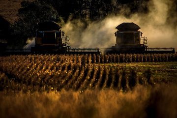 Governo Tarcísio beneficia desmatadores e famílias do agro com terras de SP